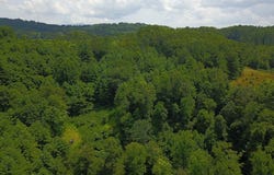 Cardinal, Galax, VA 24333