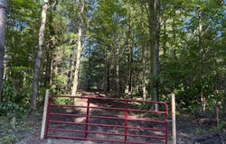 Par 2 Clements Road, Kaleva, MI 49645