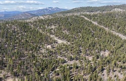 594 Dower Draw, Kila, MT 59920