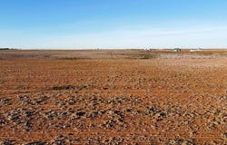6707 Tiger Road, Ropesville, TX 79358
