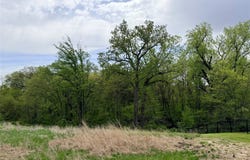 900 Harrington Way, Waukee, IA 50263
