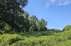 28 Apollo Road, Arab, AL 35016