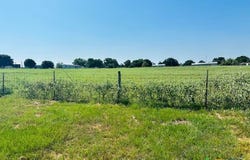 1212 Babylon Lane, Schulenburg, TX 78956