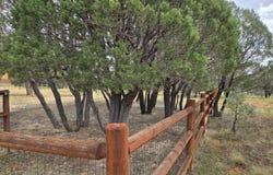 2757 Kitty Hawk Lane, Overgaard, AZ 85933