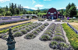 274154 Highway 101, Sequim, WA 98382