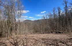 River Road Trace lot: 4, Franklin, NC 28734