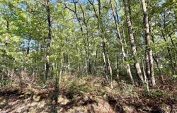 SCENIC HILLS DR lot: 18, WAYNESBORO, VA 22980