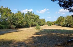 1703 County Road 2101, Kemp, TX 75143