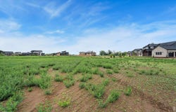 1654 Hauck Meadows Dr, Frederick, CO 80504
