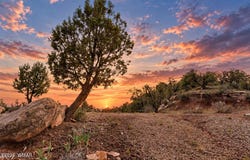 6963 Jacks High Road, Show Low, AZ 85901
