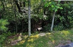 Algonquin Drive, Boone, NC 28607