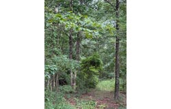 2830 tiger b Road, Drasco, AR 72530