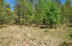 00 N HULBERT ROAD, INTERLOCHEN, MI 49643