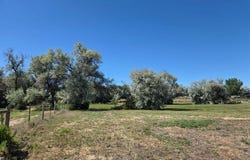 216 Lane 9, Powell, WY 82435