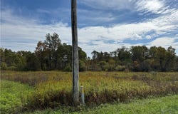Macintyre, Deerfield, NY 13502
