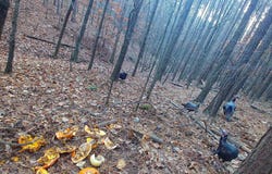 Hulsey Trail, Canton, GA 30114
