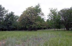7887 Pettytown Rd, Red Rock, TX 78662