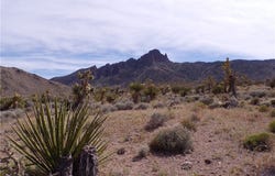 328-05-491 Palo Alto, Dolan Springs, AZ 86441
