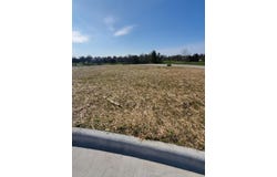 Vintage Pointe lot: 45, Springfield, MO 65809