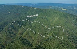Hickory Tree Rd, Moorefield, WV 26836