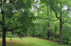 3745 Windhaven Drive NW, Conover, NC 28613