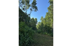 911 Parkstown Road lot: 16, Wilder, TN 38589