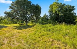 610 County Road 2040, Klondike, TX 75448