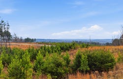 Longview Ridge lot: 6, Dunlap, TN 37327