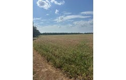 Tbd Blue Cane Road, Charleston, MS 38921