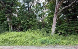 10717 Boat dock road, Poland, IN 47868