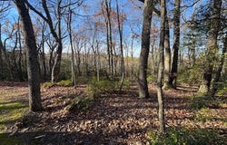 Crooked White Oak Tr lot: 55,26,27,28, Hillsville, VA 24343