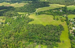 CR 1770, Mt Pleasant, TX 75455