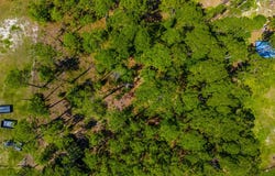 SE 330th St, Old Town, FL 32055