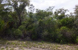 SW 132nd Ter, Cedar Key, FL 32625