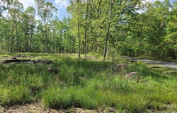 588 Lebanon Road, McRae, AR 72102