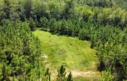 Gantt Red Level Rd, Red Level, AL 36474