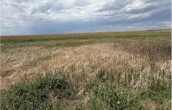 County Road 63, Gill, CO 80624