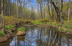 Ross Hollow Road, Bigelow, AR 72016