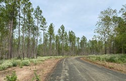 154910 Tract 20 FM 844, Huntington, TX 75949
