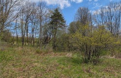 Ramey Road, Pittsfield, NY 13411