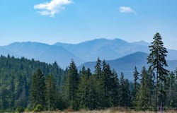 1239 River Road, Sequim, WA 98382