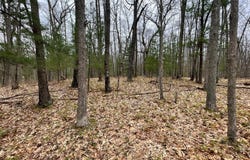 Parcel D Coates Hwy, Brethren, MI 49619