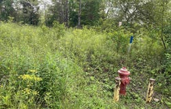 Spruce Street, Thomas, WV 26292