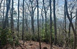 Sapphire Ridge lot: 8, Blue Ridge, GA 30513