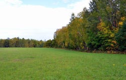 Juneberry Drive, Park Rapids, MN 56470