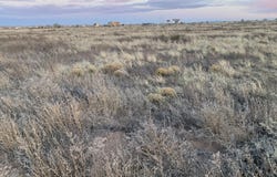 Esperanza - Lots 6-8 Avenue, Moriarty, NM 87035