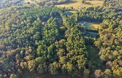 428 OWEN ROAD, SPRINGVILLE, AL 35146