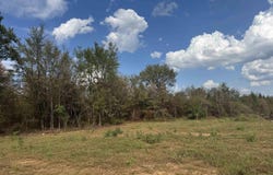 Brown Lane, Ozark, AR 72949