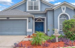 4306 ORANGE RIDGE Court, VALRICO, FL 33596