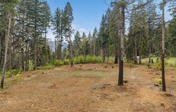 51209 BLUE RIVER Dr, Vida, OR 97488